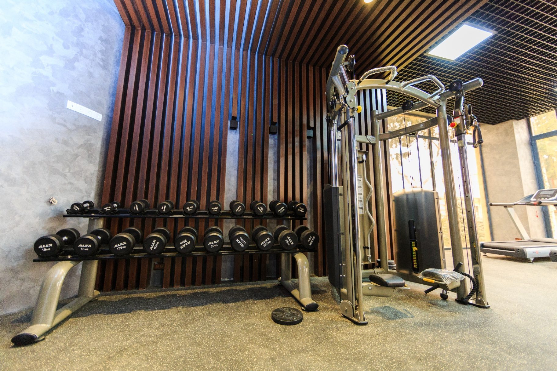Dumbbells & Cable